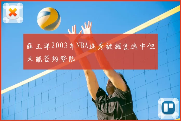 薛玉洋2003年NBA选秀被掘金选中但未能签约登陆