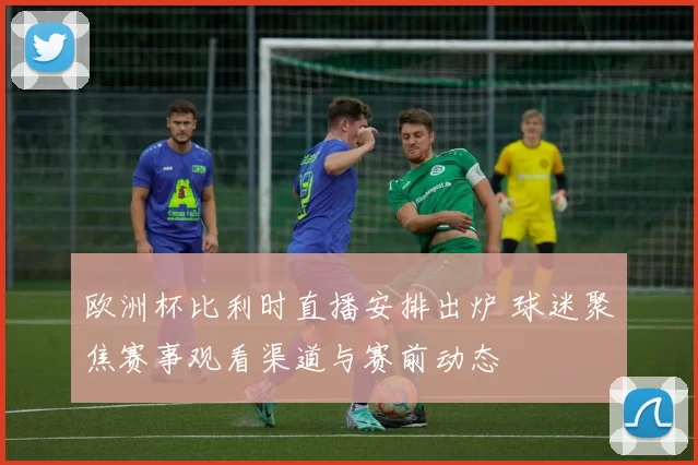 欧洲杯比利时直播安排出炉 球迷聚焦赛事观看渠道与赛前动态