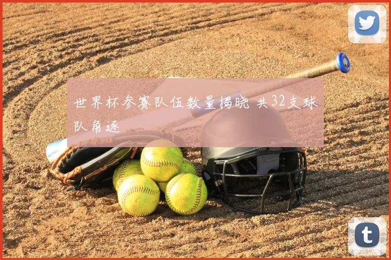 世界杯参赛队伍数量揭晓 共32支球队角逐