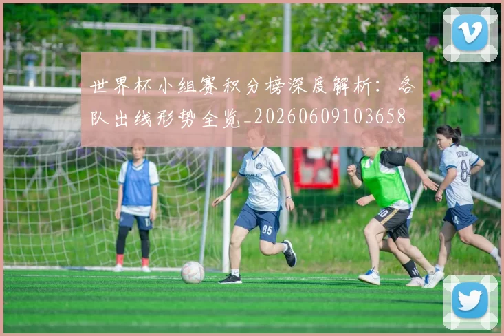世界杯小组赛积分榜深度解析:各队出线形势全览_20260609103658