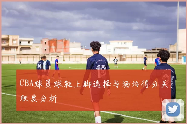 CBA球员球鞋上脚选择与场均得分关联度分析
