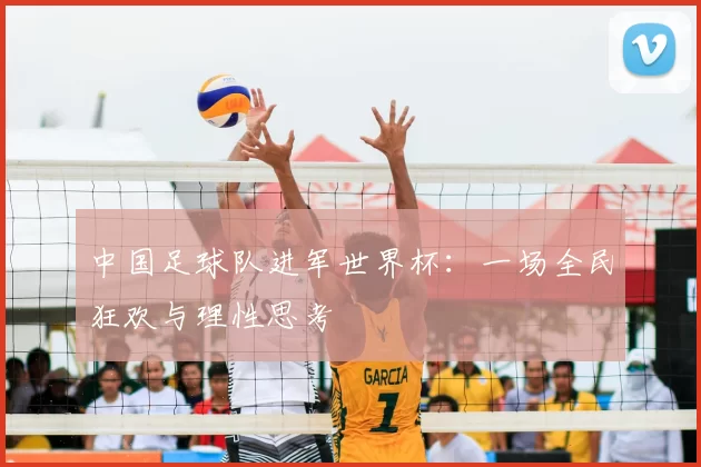 中国足球队进军世界杯:一场全民狂欢与理性思考