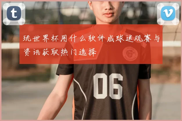 玩世界杯用什么软件成球迷观赛与资讯获取热门选择