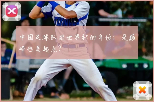 中国足球队进世界杯的年份：是巅峰也是起点？